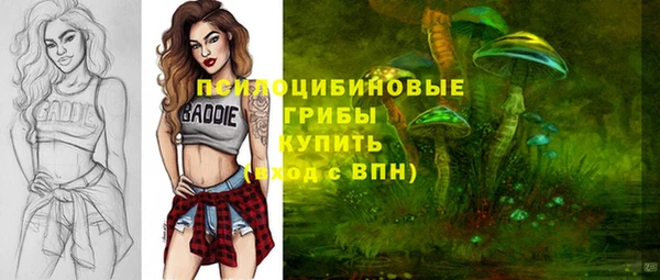 таблы Дмитриев